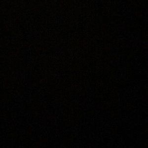 Meet your Posher, Isabella